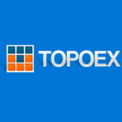 Logo de Topoex. Estudio De Topografía