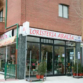 floristeria-aralia-fachada-01.jpg
