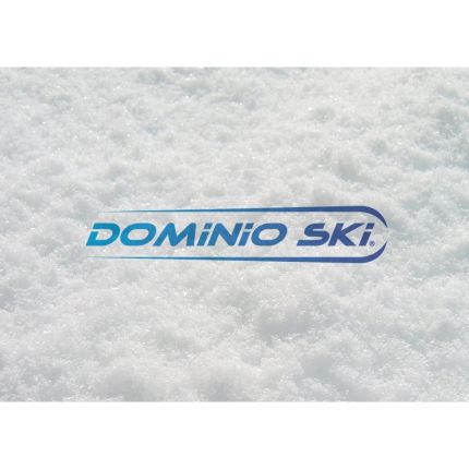 Logótipo de Dominio Ski