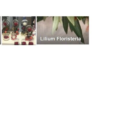 Logotipo de Floristería Lilium