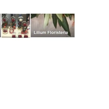 Logótipo de Floristería Lilium