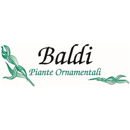 Logo van Baldi Piante