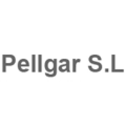 Logotipo de Pellgar
