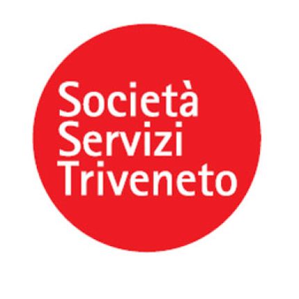Logo von Societa' Servizi Triveneto - Gestione e Recupero Crediti