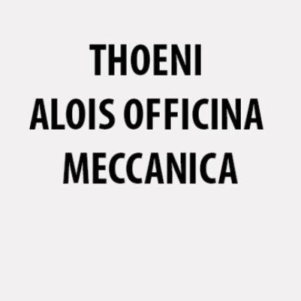 Logo von Thoeni Alois Officina Meccanica