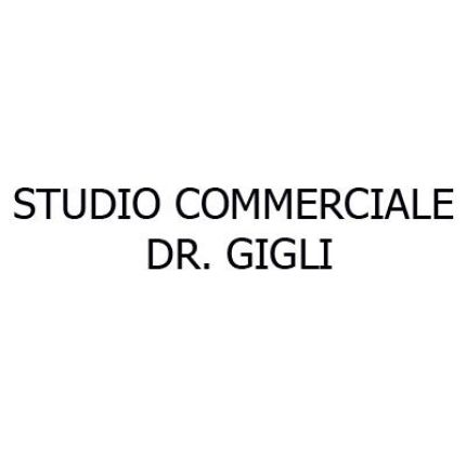 Logo fra Studio Commerciale Dr. Gigli