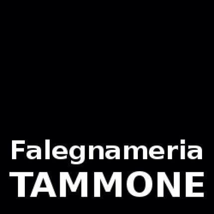 Λογότυπο από Falegnameria Tammone
