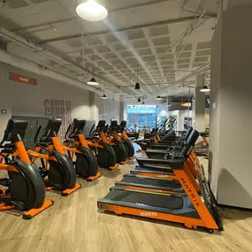 Bild von Basic-Fit Sevilla Avenida de Palmas Altas