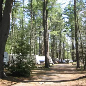Bild von Tuxbury Pond Campground