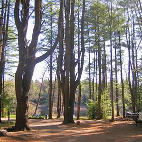 Bild von Tuxbury Pond Campground