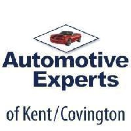 Logo da Automotive Experts