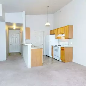 Kitchen at Taylor Michigan apartment