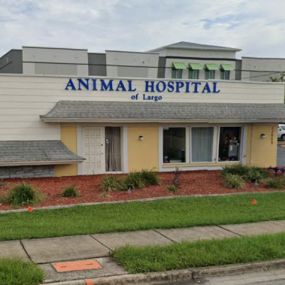 Bild von Animal Hospital of Largo