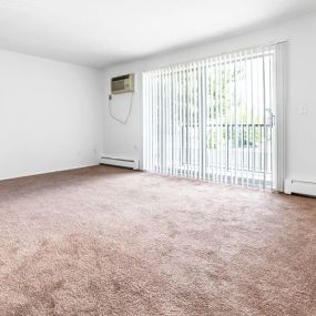 Natural light room in apartment in Warren