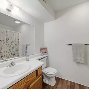 Bathroom at Burwick Farms Apartment Homes at Howell, MI