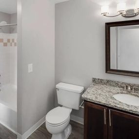 Bathroom in Madison Heights apartment