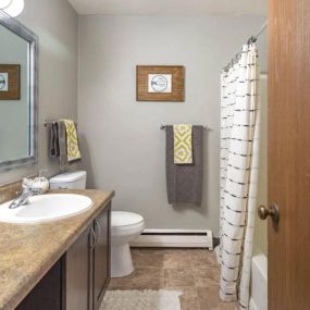 Bathroom at Nemoke Trails apartments in Haslett, MI