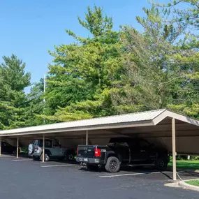 Nemoke Trails apartments parking shelters in Haslett, MI