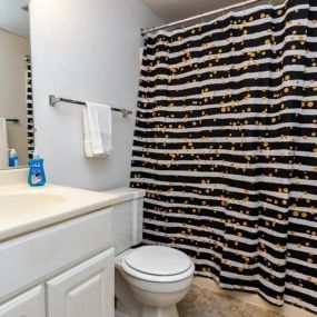 Bathroom at Lakewood Apartments in Haslett, MI