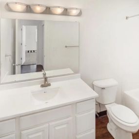 Bathroom in Grand Rapids apartment