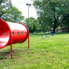 Dog park at apartments in Grand Rapids