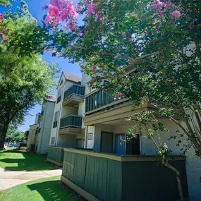 Bild von Pecan Grove Apartments