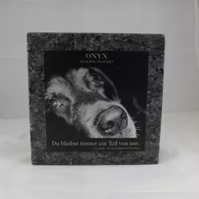 Bild von Copyshop & Druckerei DRUCKHERR