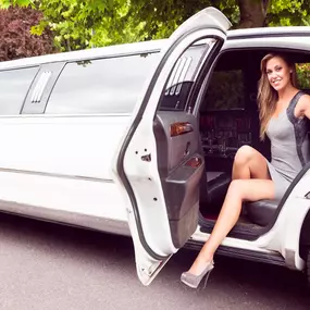 Bild von Suburban Limousine