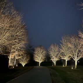 Bild von Limelight Landscape Lighting