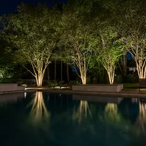 Bild von Limelight Landscape Lighting