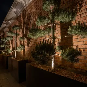 Bild von Limelight Landscape Lighting