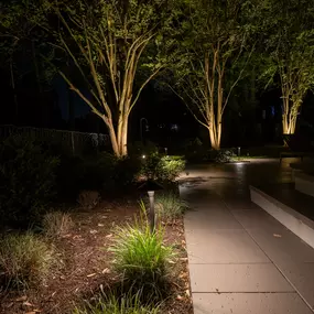 Bild von Limelight Landscape Lighting