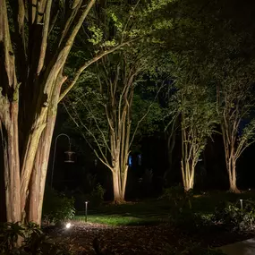 Bild von Limelight Landscape Lighting