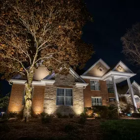 Bild von Limelight Landscape Lighting