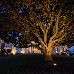Bild von Limelight Landscape Lighting