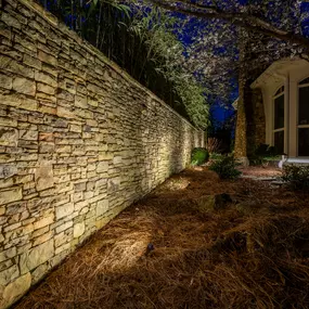 Bild von Limelight Landscape Lighting