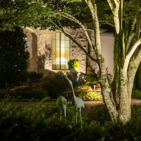 Bild von Limelight Landscape Lighting