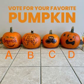 Having a little bit of fun today for National Pumpkin Day ????
Deena, Jenn, Kristi and Shondra Decorated pumpkins for you to vote for your favorite below