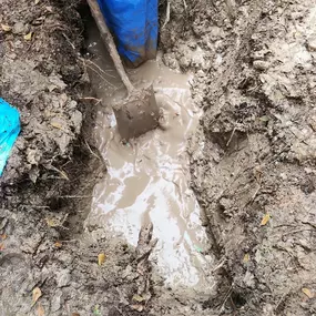 Bild von Texas Quality Plumbing
