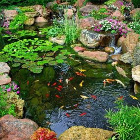 Next Level Outdoor Services Sioux Falls, SD Aquascapes