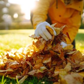 Next Level Outdoor Services Sioux Falls, SD Spring & Fall Cleanups