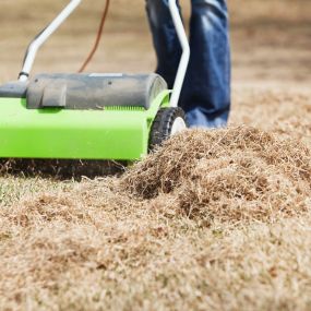 Next Level Outdoor Services Sioux Falls, SD Dethatching