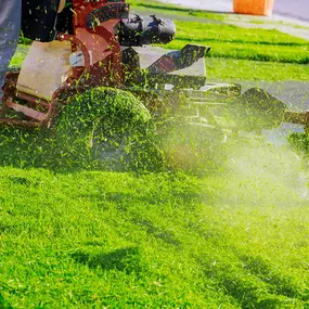 Next Level Outdoor Services Sioux Falls, SD Lawn Mowing