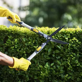 Next Level Outdoor Services Sioux Falls, SD Shrub Pruning