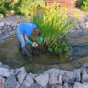 Next Level Outdoor Services Sioux Falls, SD Pond Maintenance Services