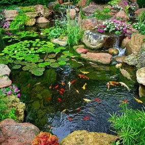 Next Level Outdoor Services Sioux Falls, SD Aquascapes