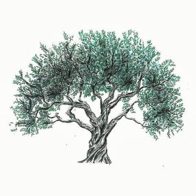 Bild von The Olive Orchard