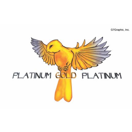 Logo van PlatinumGoldPlatinum inc