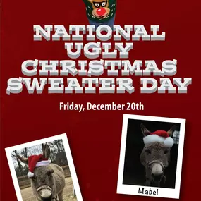 National Ugly Christmas Sweater Day is Friday, December 20 and we’re celebrating with Horses Haven again this year! ????????????

Stop in between 5:00 and 7:00 wearing your best Christmas garb. Have your photo taken with Mabel and Oliver, here to represent Horses’ Haven Equine Rescue whose mission is to rescue, rehabilitate, retrain and re-home at risk equines (horses, ponies, donkeys, and mules).????

Enjoy a delicious Ugly Sweater cookie from our friends at Oui Pastry! We have a free T. Jazell