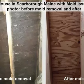 Bild von EnviroClean - South Portland